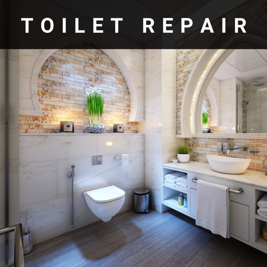 Toilet Repair Services